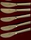 coltelle-pintinox-a6ff55db COLTELLE PINTINOX - immagine 1