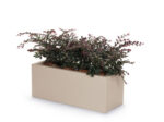 BOX W / ROUES KUBE CM 100