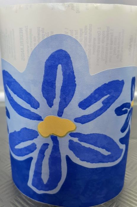 product-14392-0-f5f374a9-700 BORDURE ADHÉSIVE DAISY TRAIL BLEU - immagine 1
