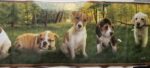 BORDURE ADHÉSIVE CHIENS