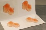 SET DI 4 AUTOADESIVE  CONCHIGLIE DEC-166438 - immagine 2